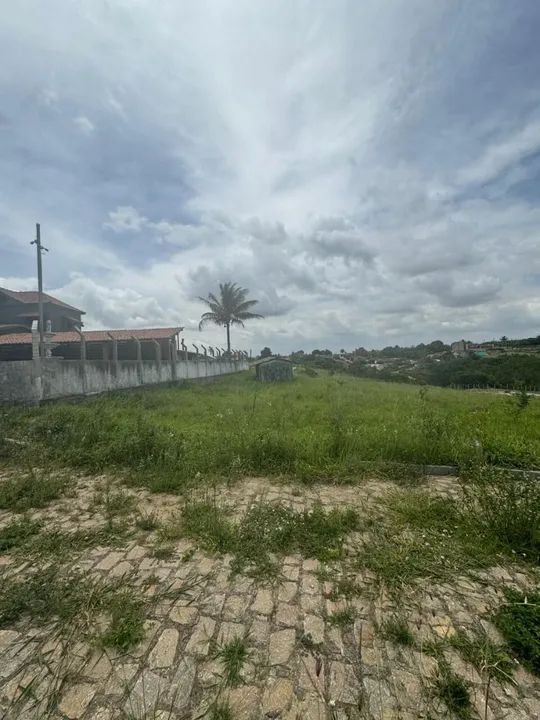 LOTE 10X25 DOCS OK - Foto 6