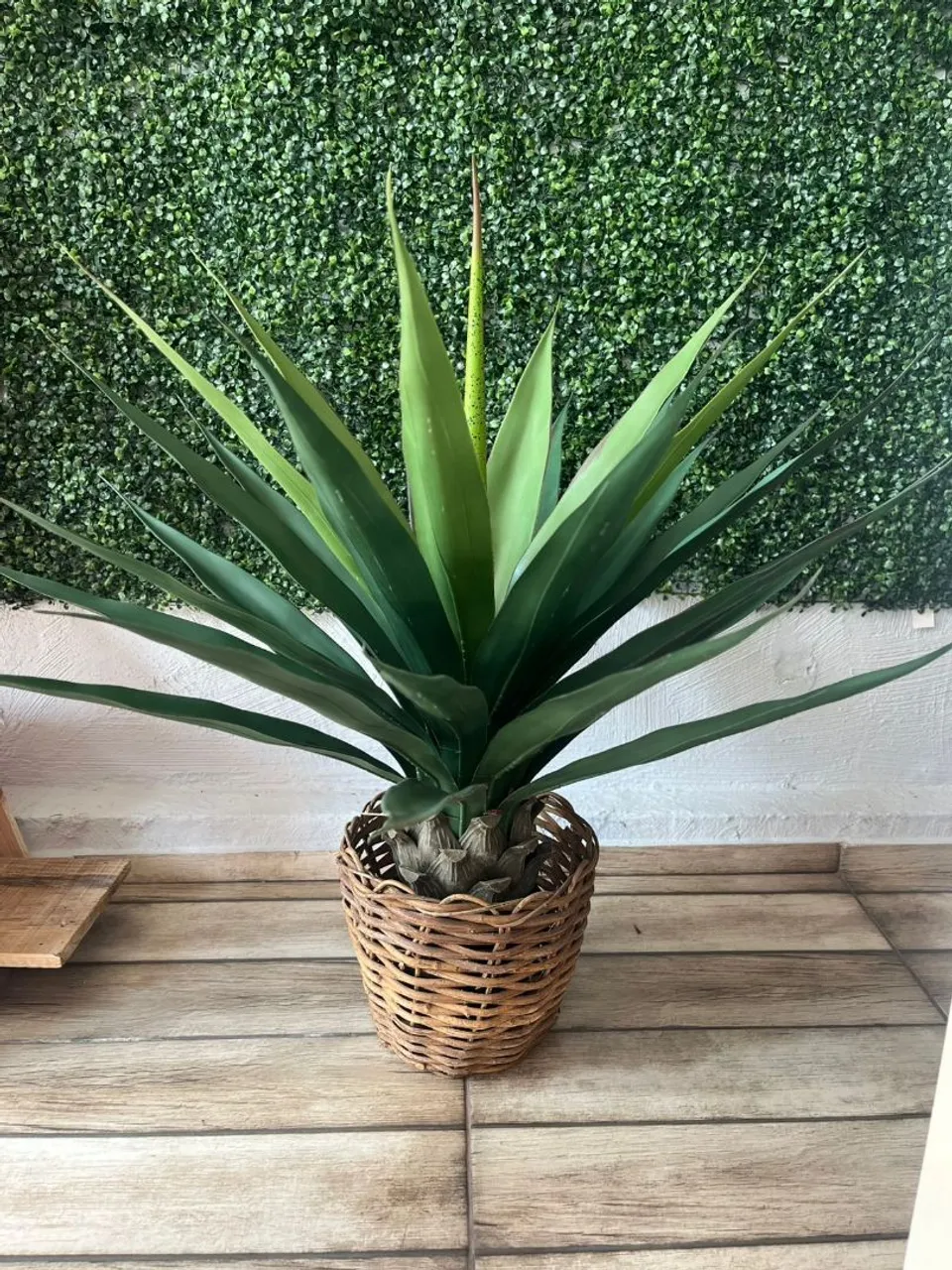 Planta Artificial Agave em Vaso de cipó