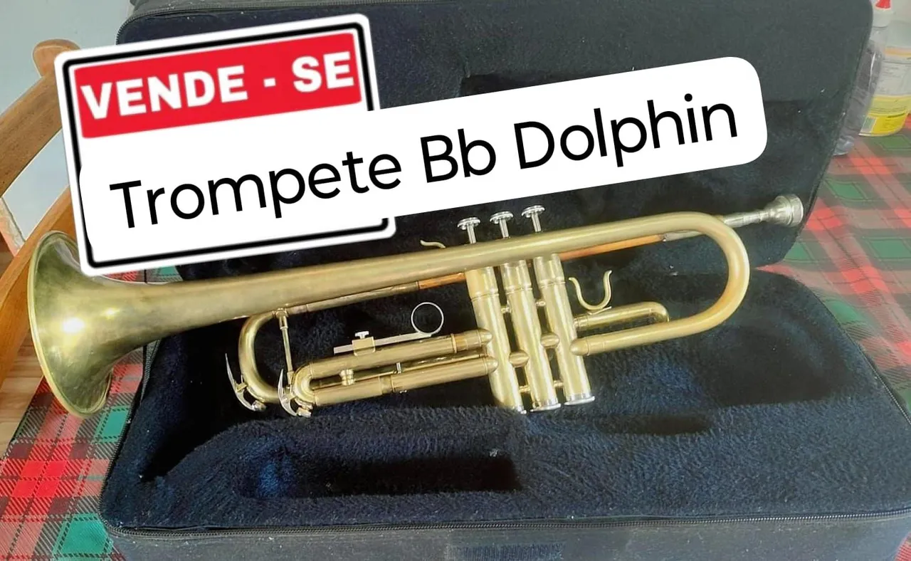Trompete Bb Dolphin