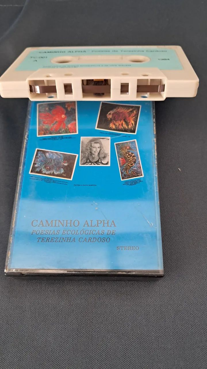 K7 de Terezinha Cardoso  - Foto 3