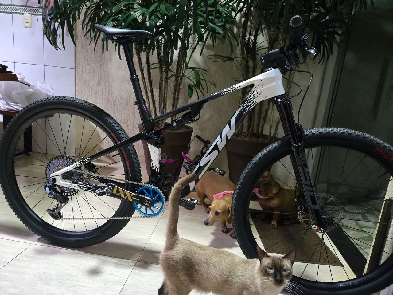 Quadro TSW Full Quest Angel M