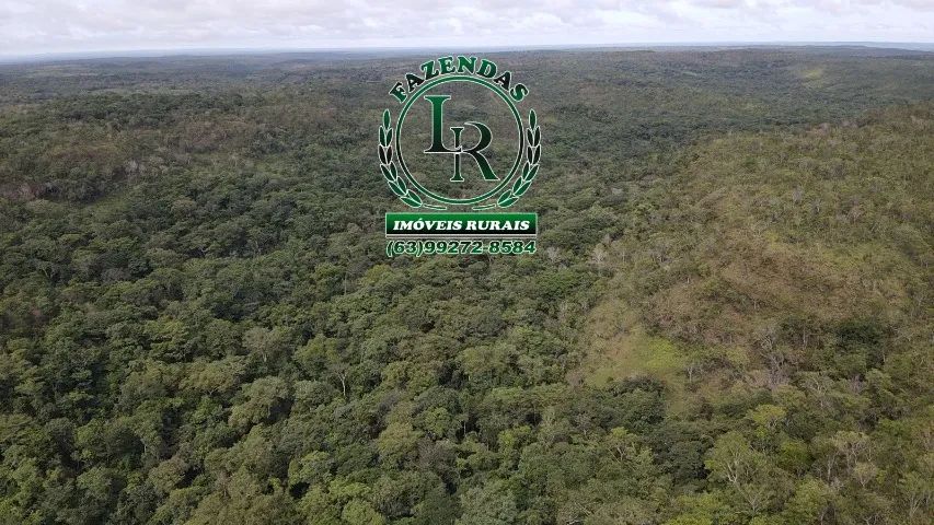 Fazenda 41 Alqueires Bruta Pecuária - Foto 4