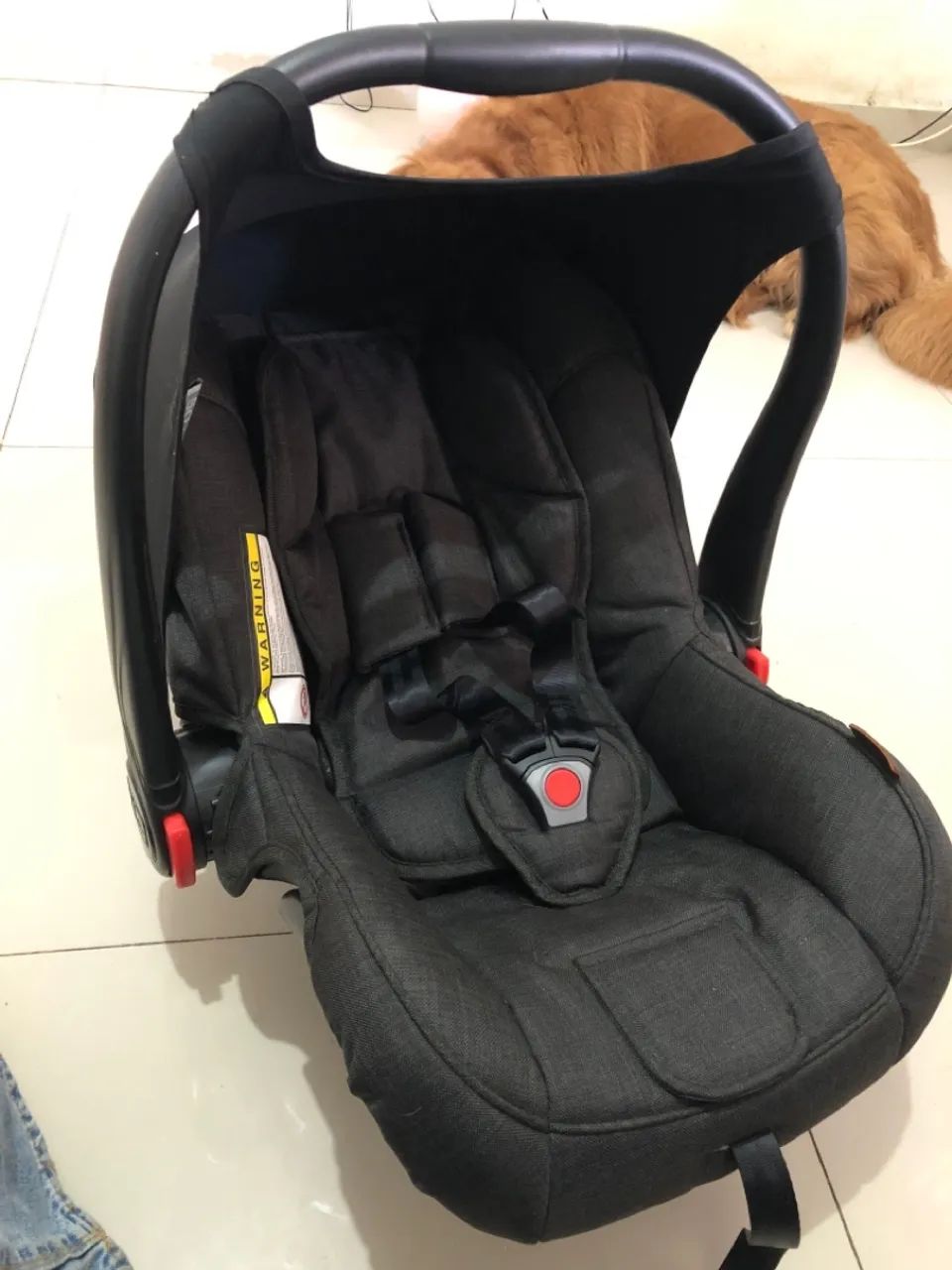 Bebê conforto ABC Design - Risus 