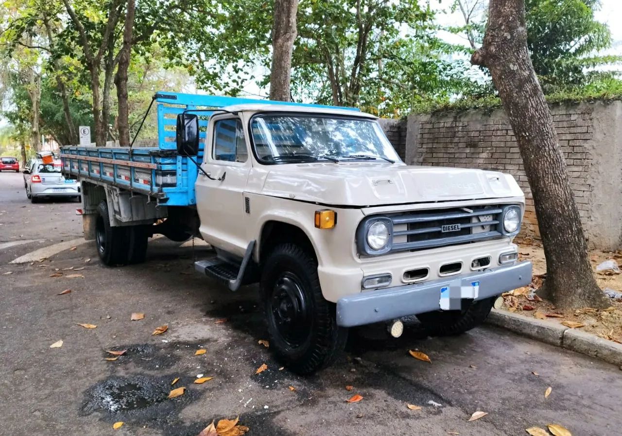 CAMINHÃO CHEVROLET D60 MECÂNICA TODA MERCEDES 1113 PRONTO PARA TRABALHAR
