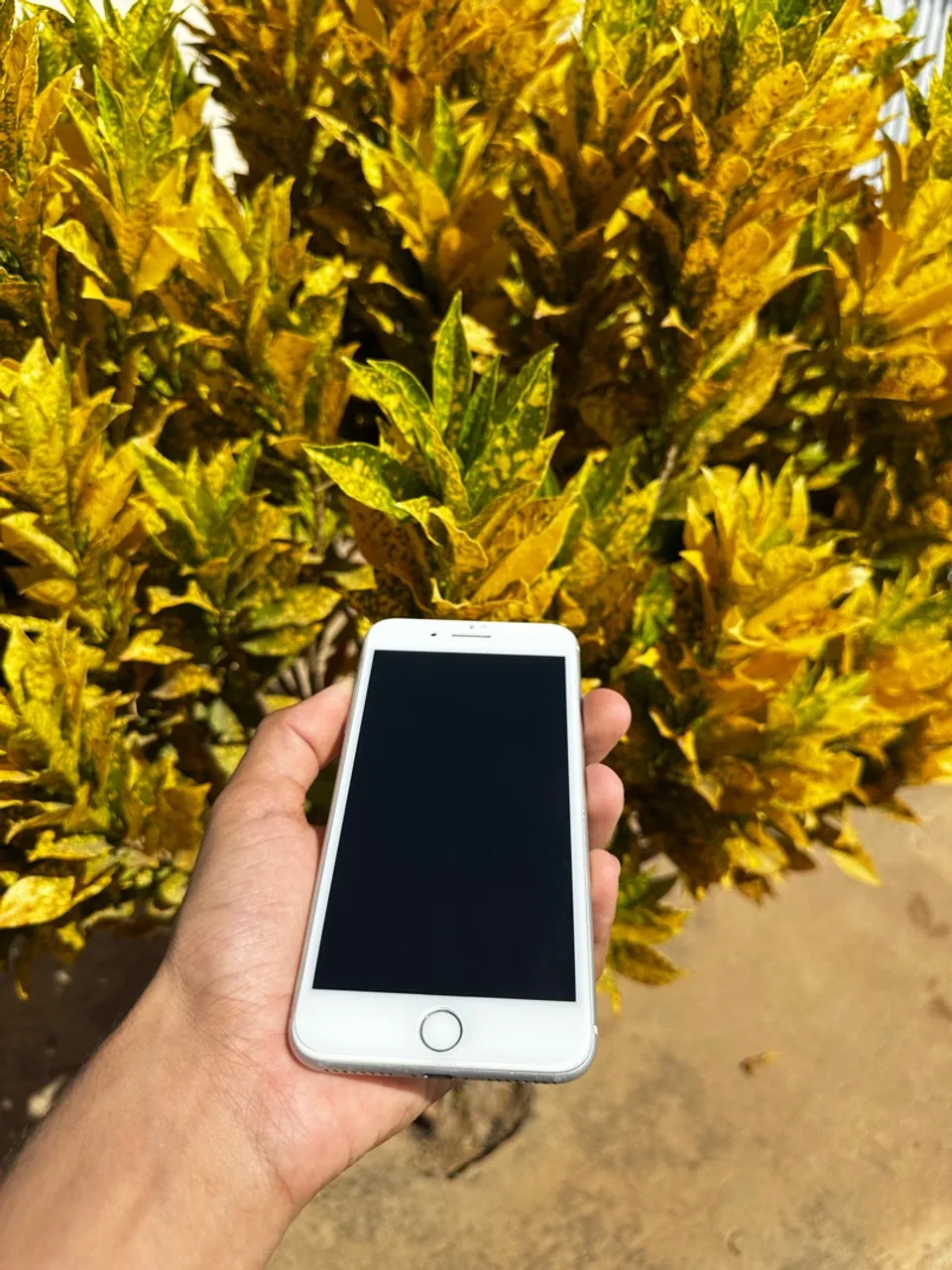 iPhone 8 Plus - 100% Original