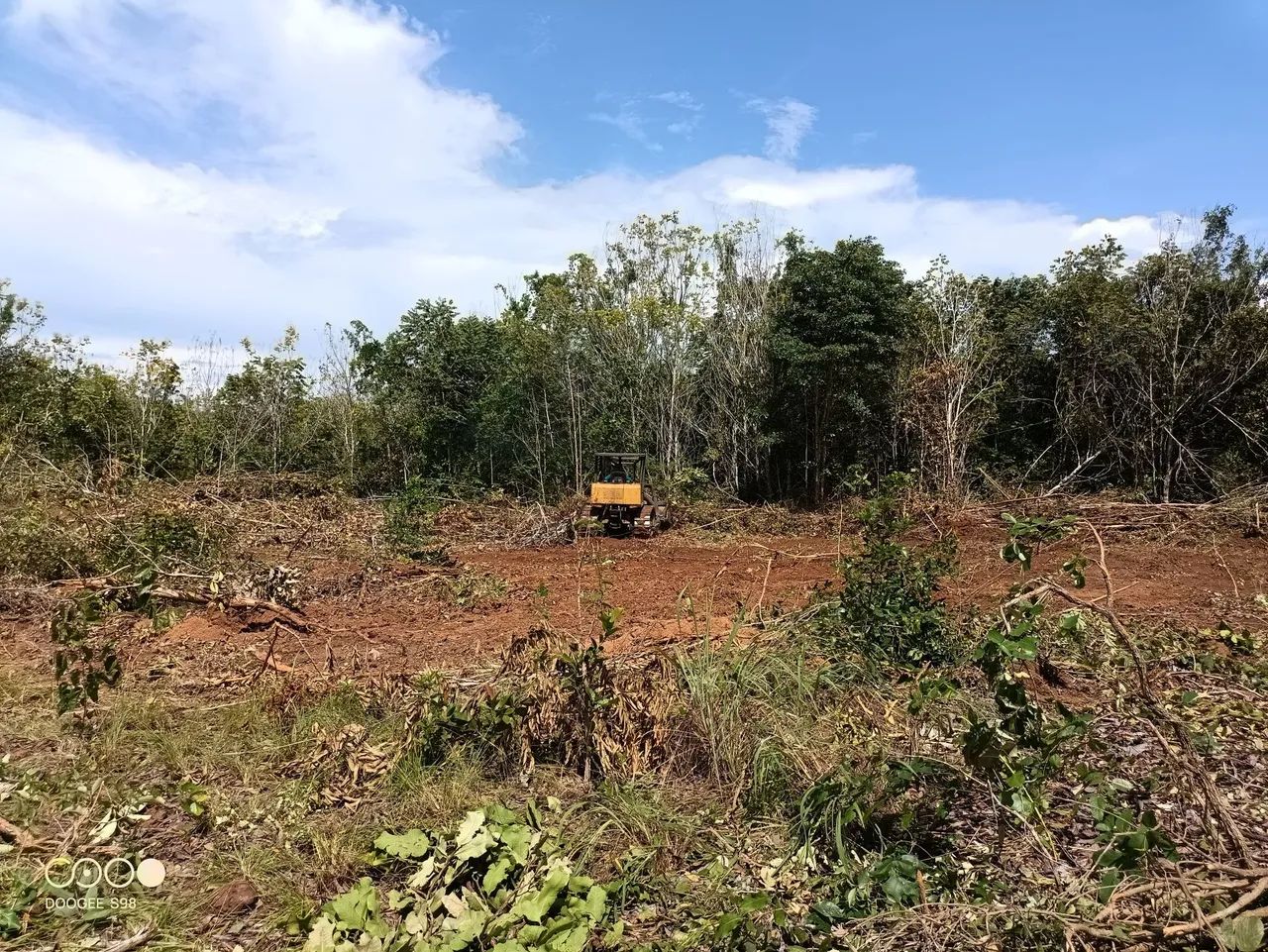 Fazenda de arrendamento 5.000 hec em Fátima no Tocantins - Foto 2