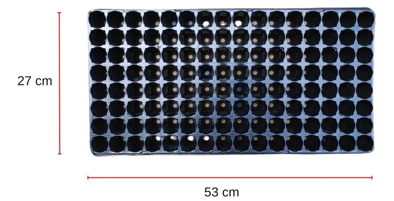 VENDO: Bandeja Para Produção De Mudas 128 Células - 20 Unidades