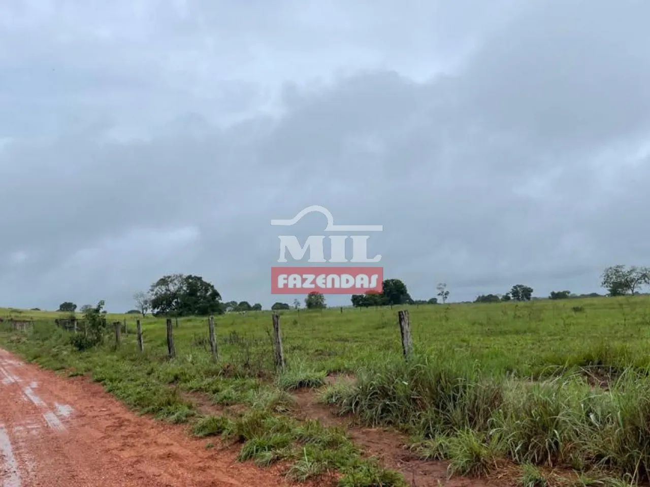Fazenda de 785 alqueires (3800 hectares) em Cocalinho Mato Grosso - Foto 3
