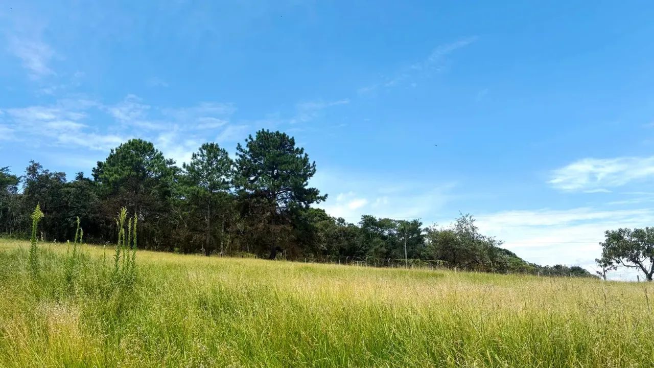 Lago para pesca, trilha e playground  Tudo para sua família! - Foto 12