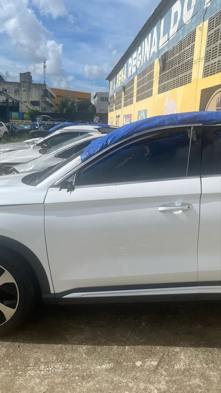 Porta Dianteira Esquerda( LISA) BYD Song Plus 2024 a 2026 - Peças