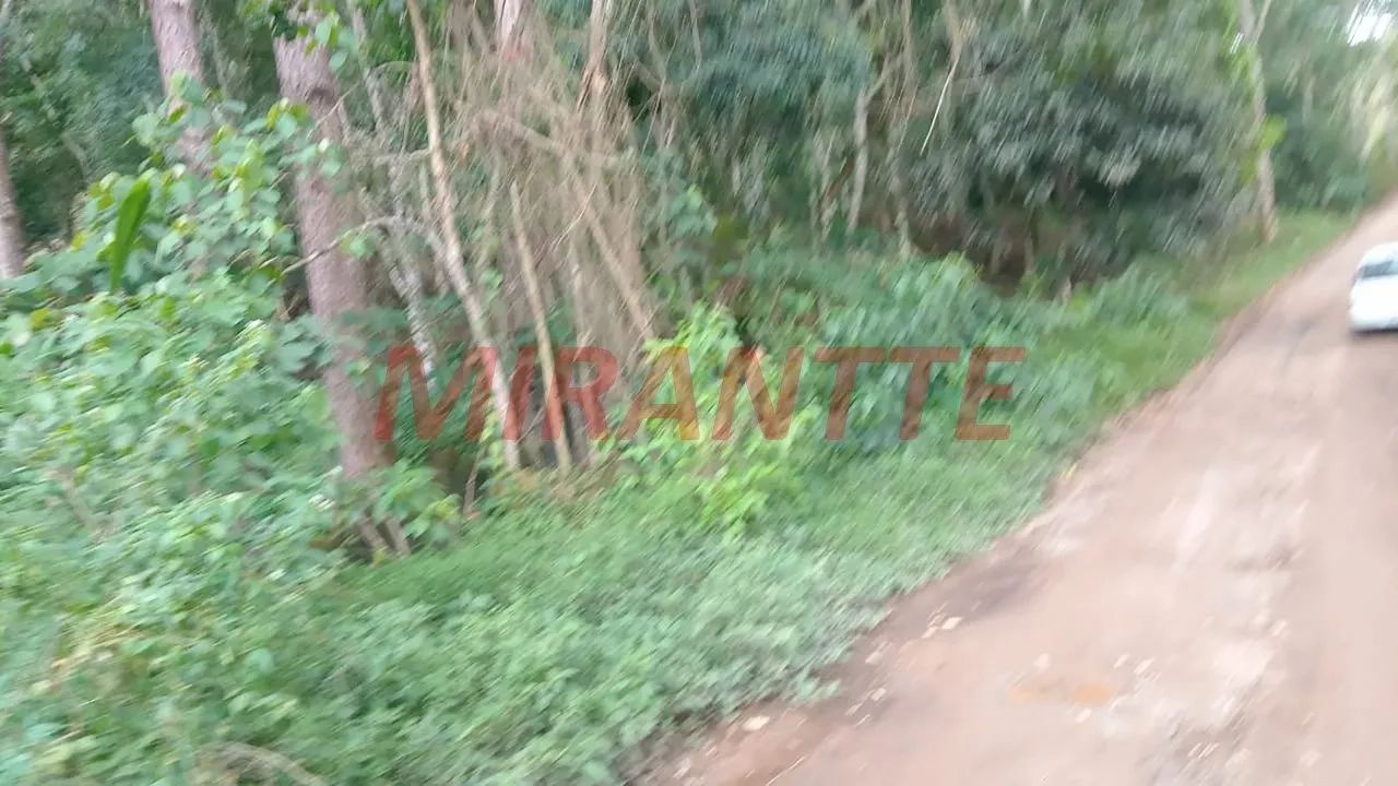 Terreno em Boa Vista - Foto 2
