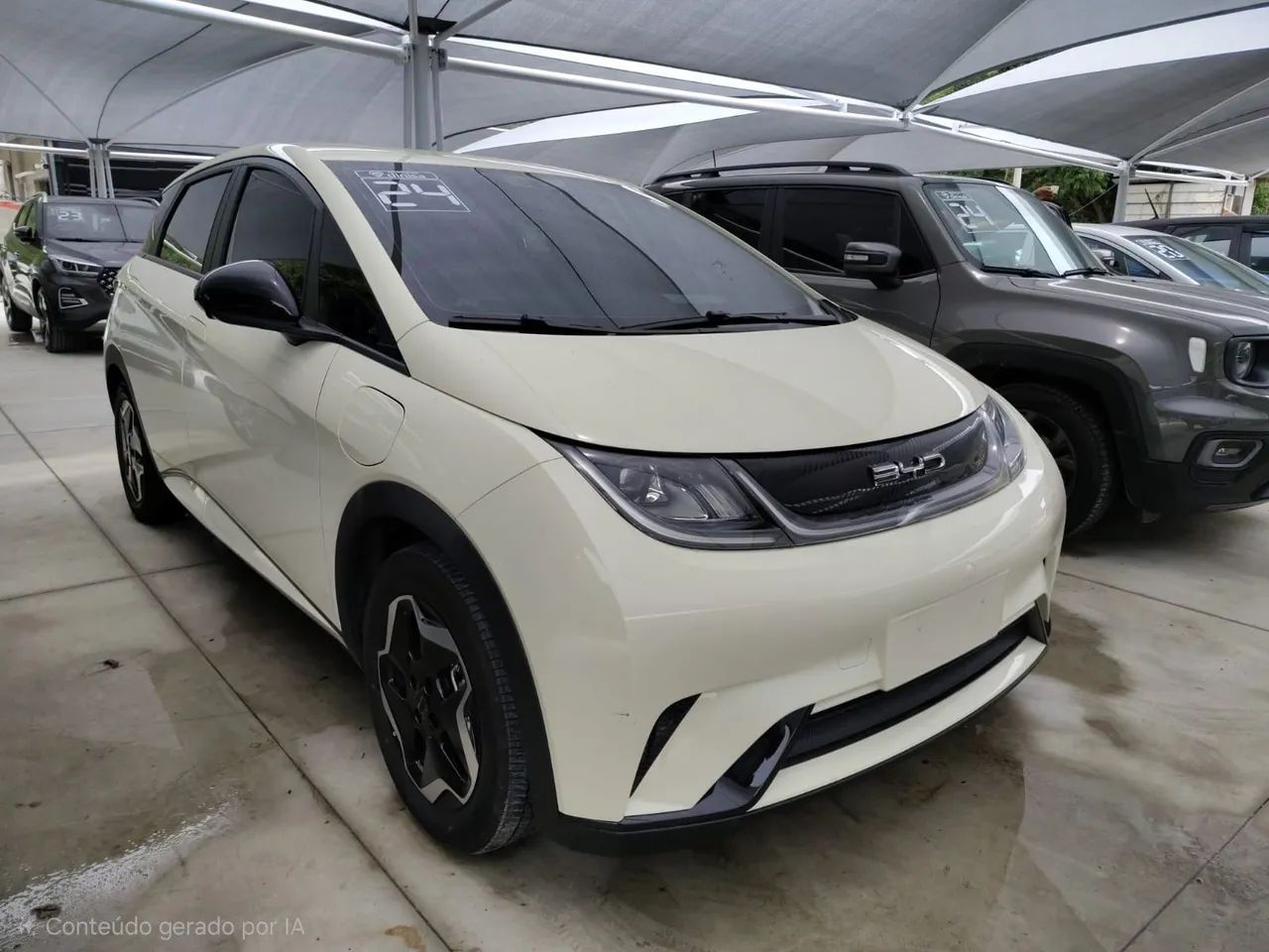BYD Dolphin EV (Elétrico) 2024