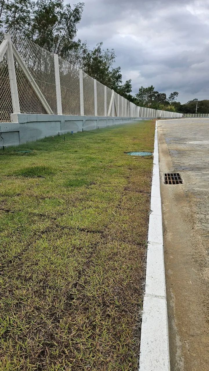 Jardinagem / paisagismo - Foto 5