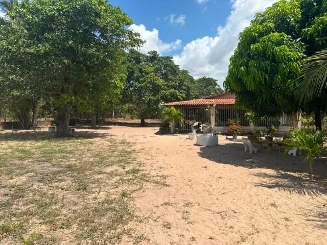  Sítio em Pacajus  7.500m2 - Foto 2