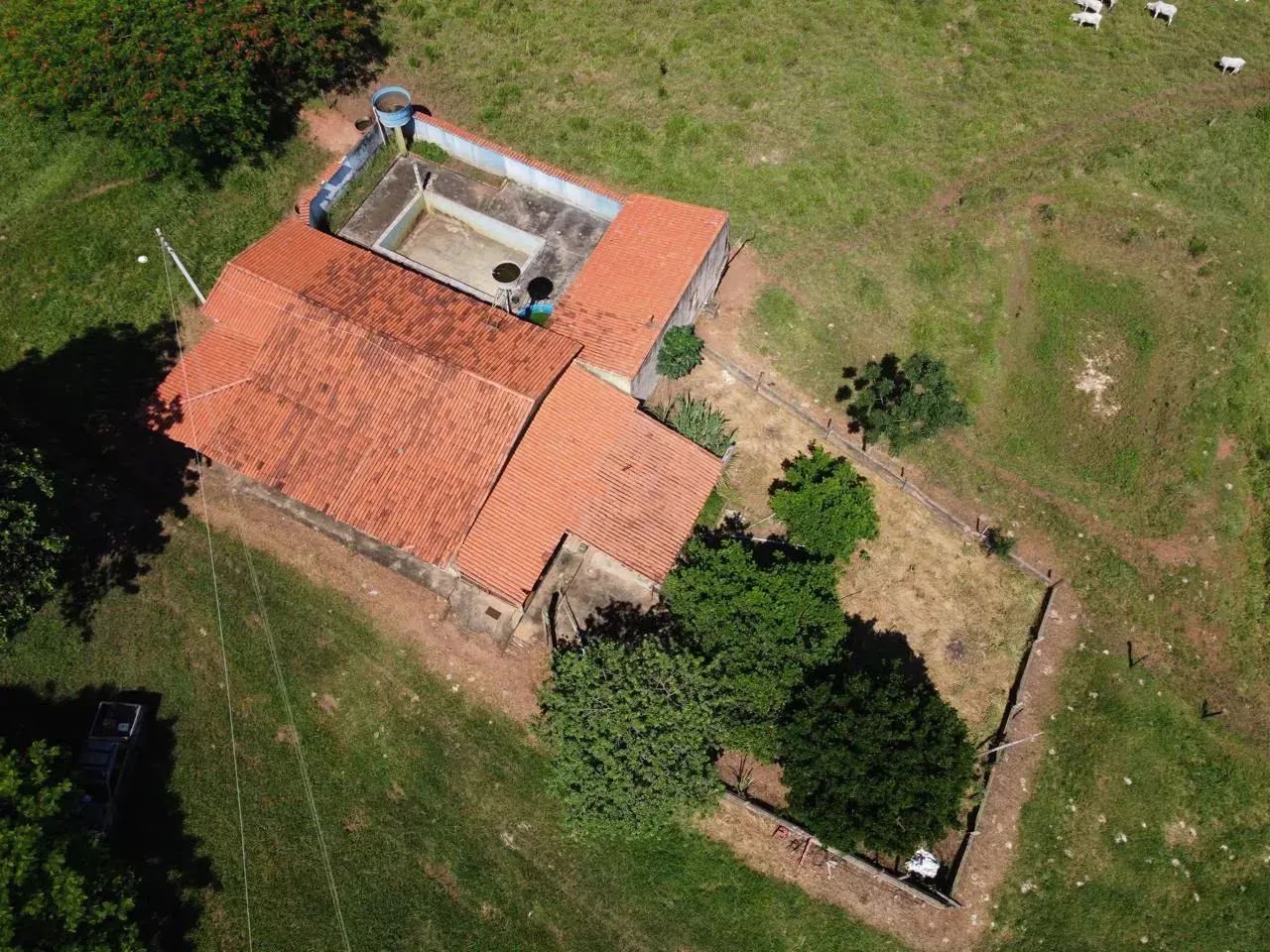 Fazenda 32 alqueires Itapaci GO - Foto 4