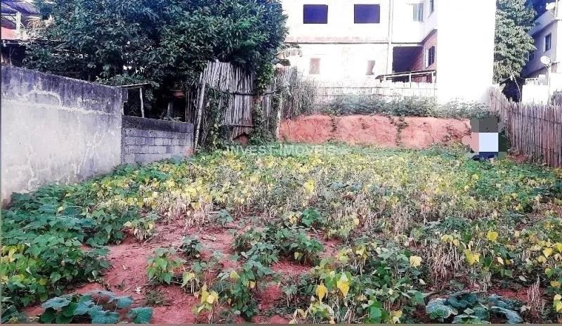 Terreno - Ubá MG - Foto 4