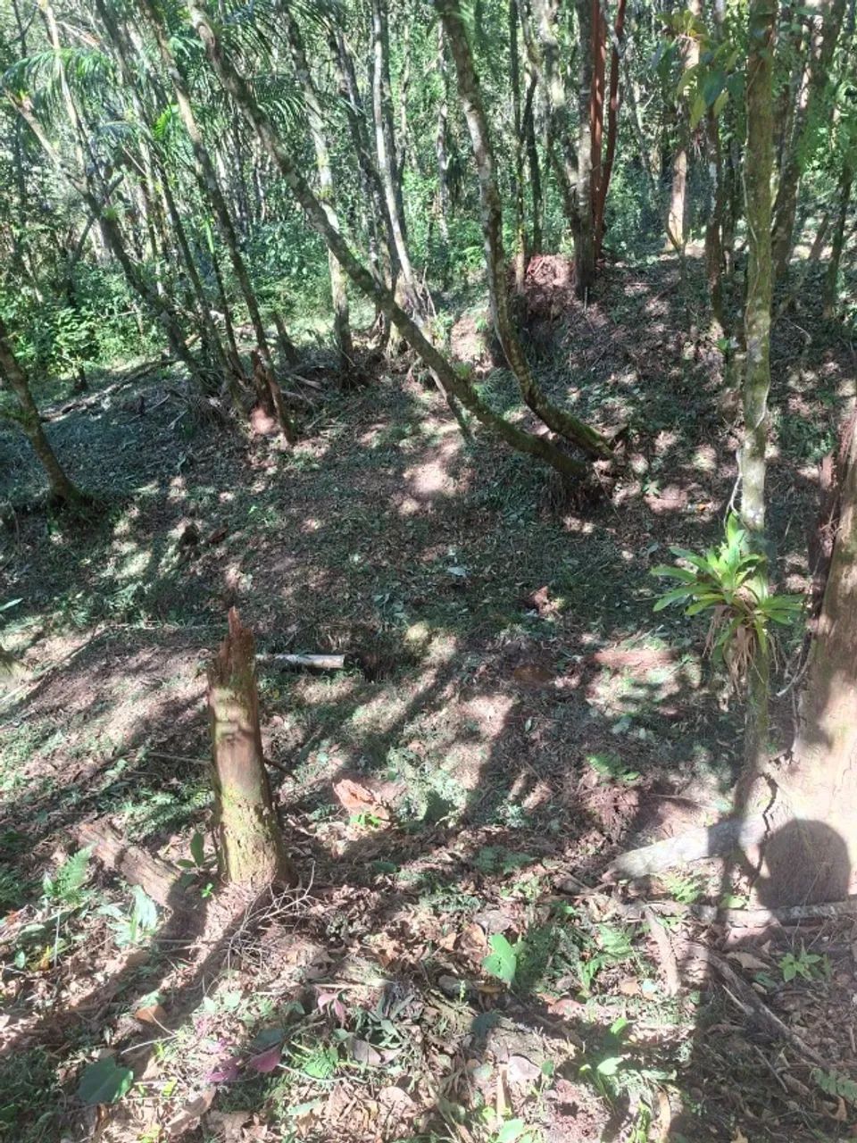 Terreno 5.000ms- Ótimo preço, aceito troca. - Foto 5
