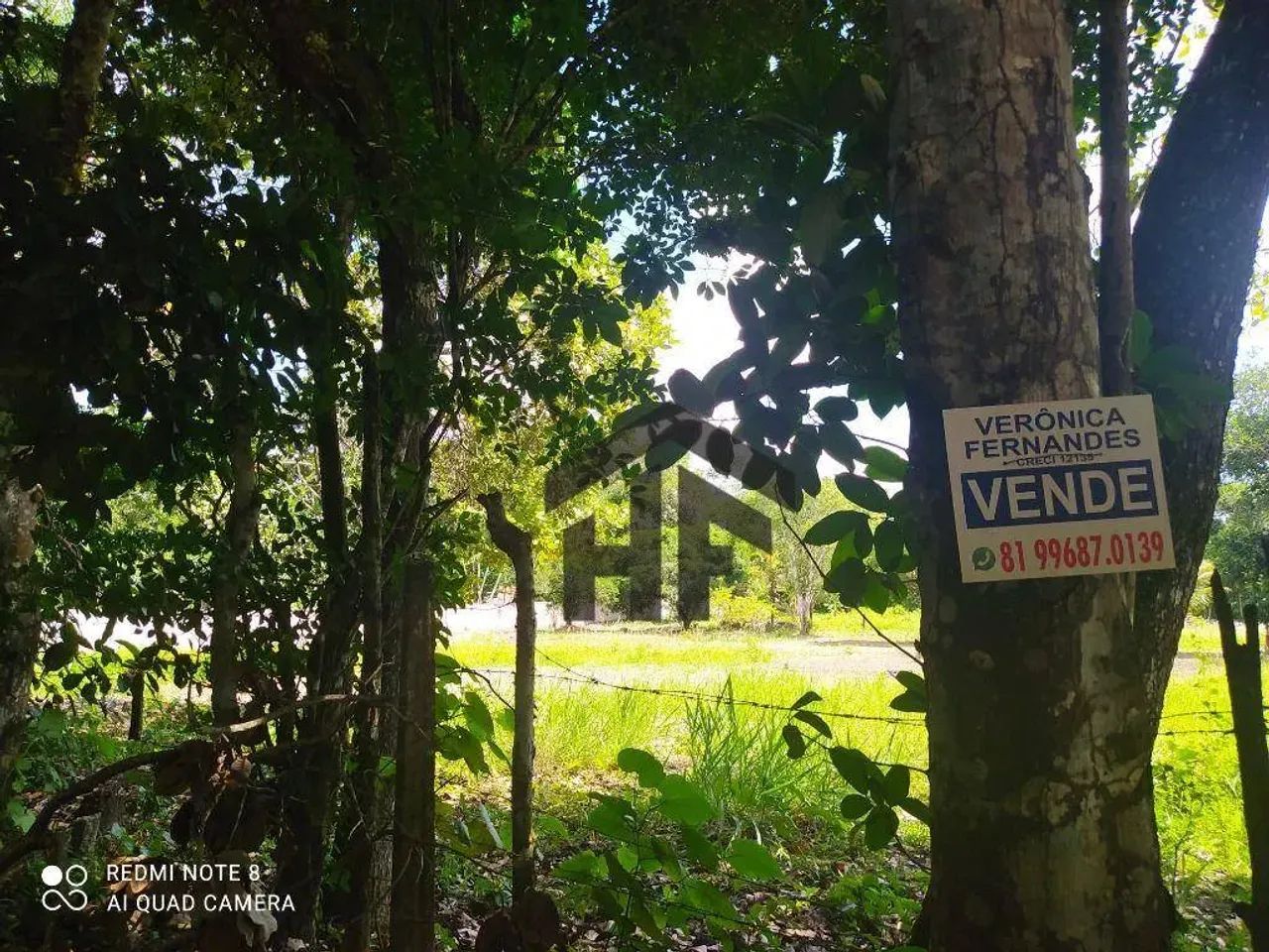 Terreno com 5000 m² em Aldeia, Camaragibe - Foto 2