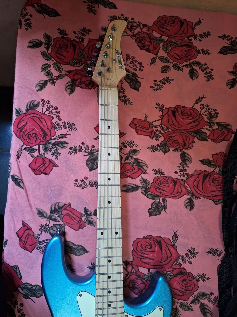 GUITARRA STEINBERG STS100 NOVA  - Foto 5