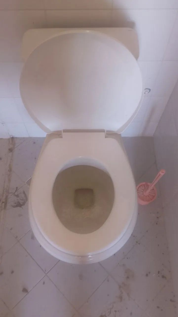 Coupled toilet in good condition; I have 2, each for $150