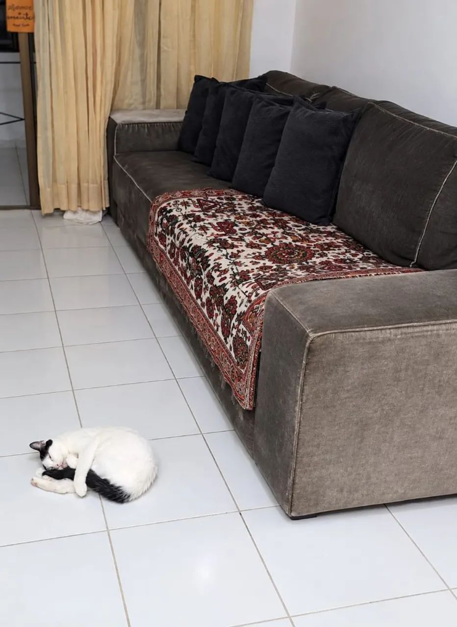 Vendo sofá luxo ,com 3 lugares ,em tecido de veludo 