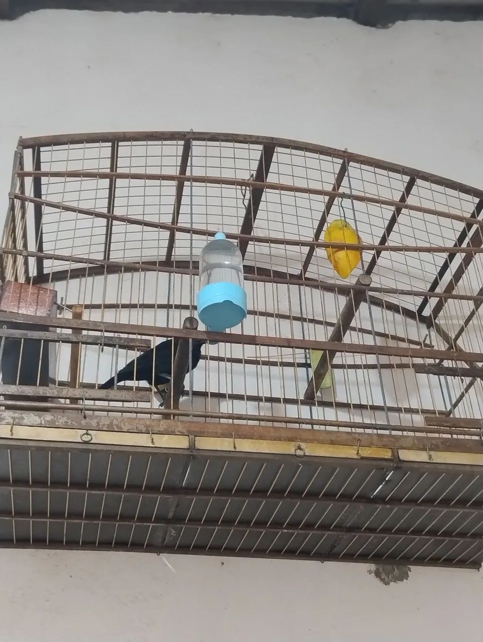 Vendo essas duas gaiolas boas  - Foto 4