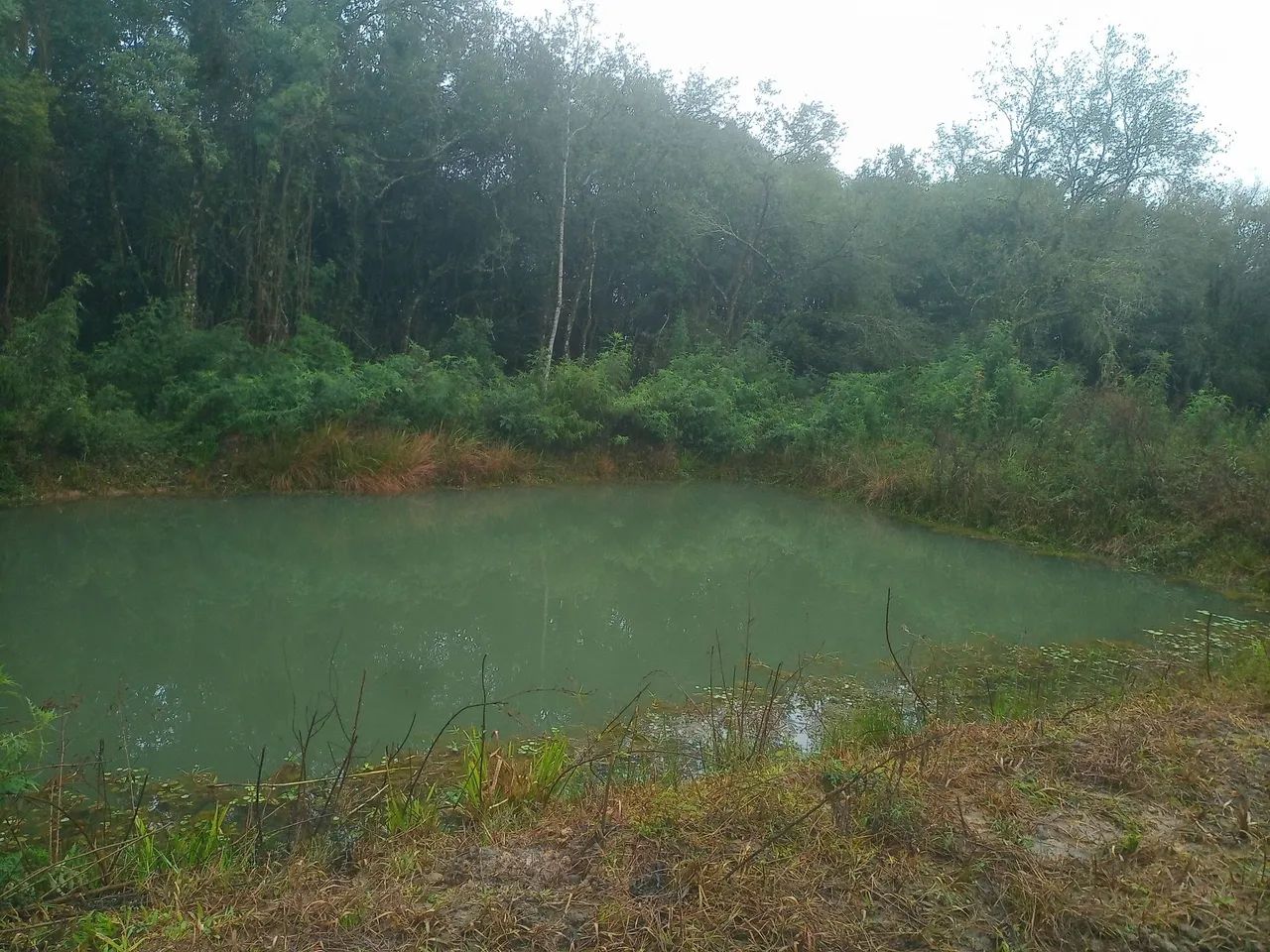 Área para formar chácara  - Foto 3