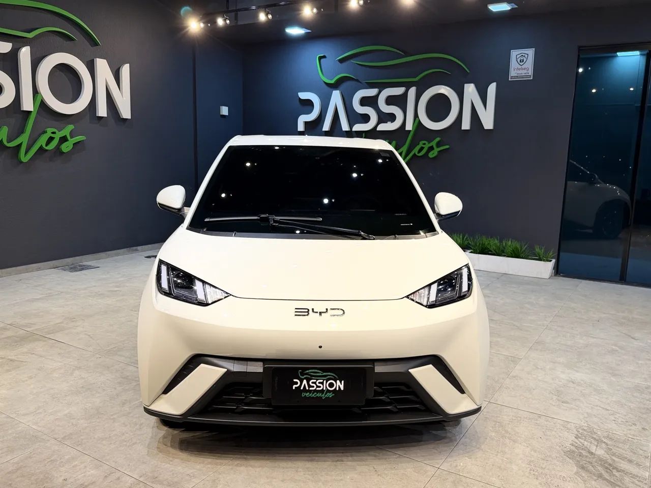 BYD Dolphin Mini (Elétrico) 2025 - Foto 4