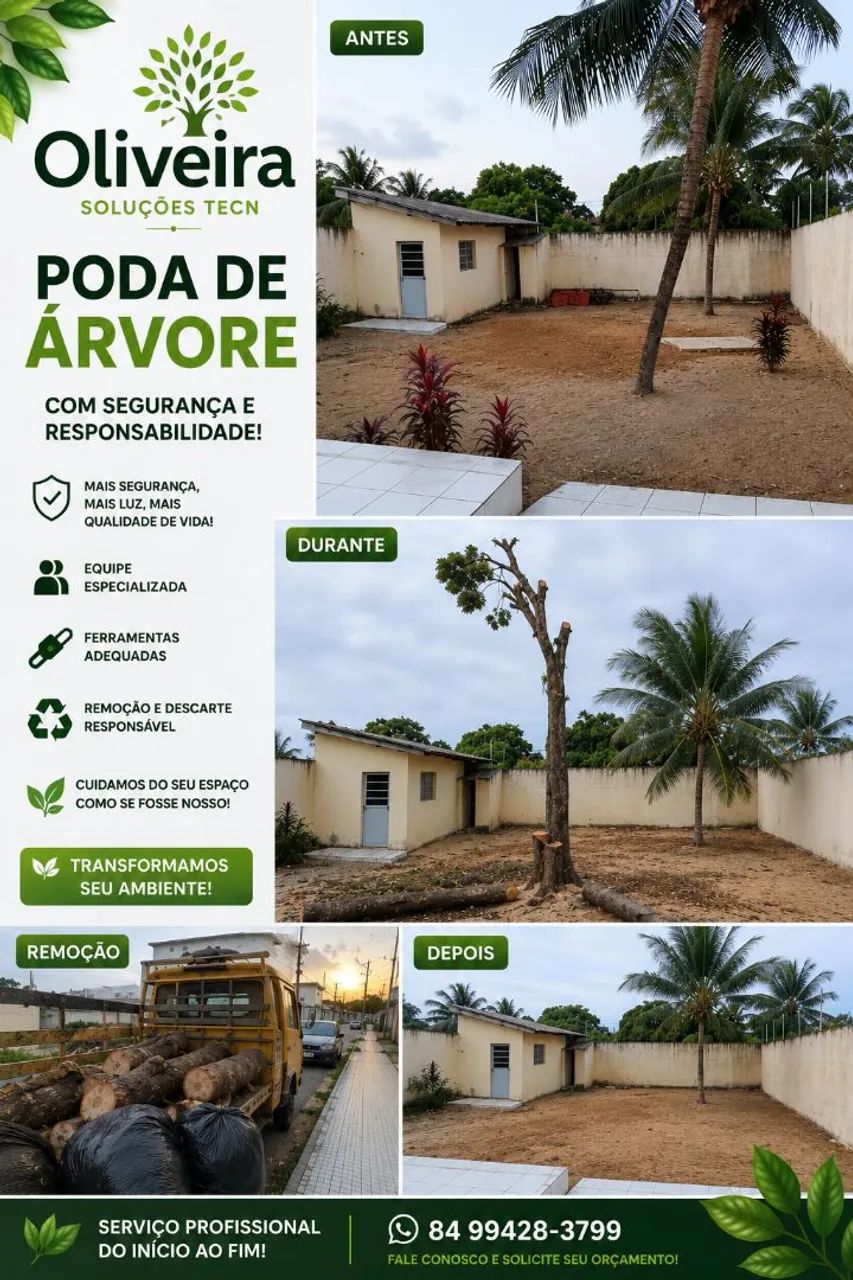 Podas de árvores  - Foto 2