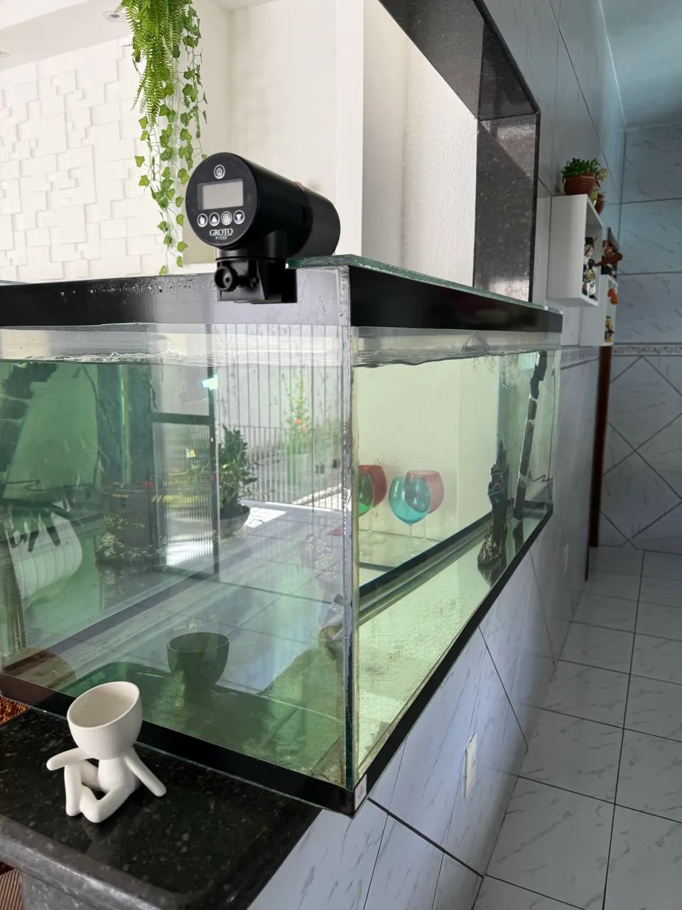 Aquário completo vendo com tudo dentro - Foto 2