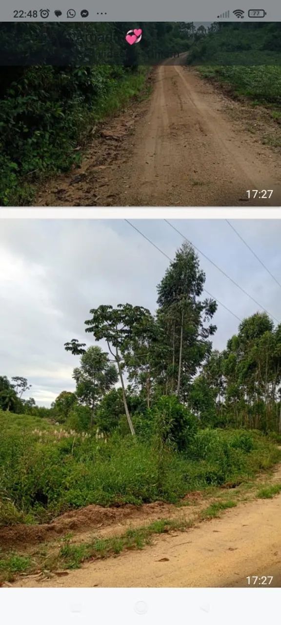 Terreno de 11.4 hectares. - Foto 3