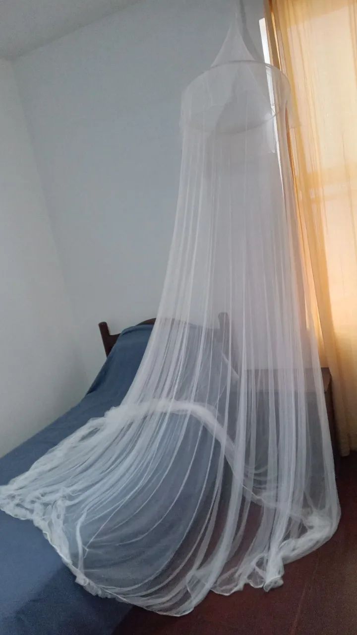 Mosquiteiro  de  filo  - Foto 2
