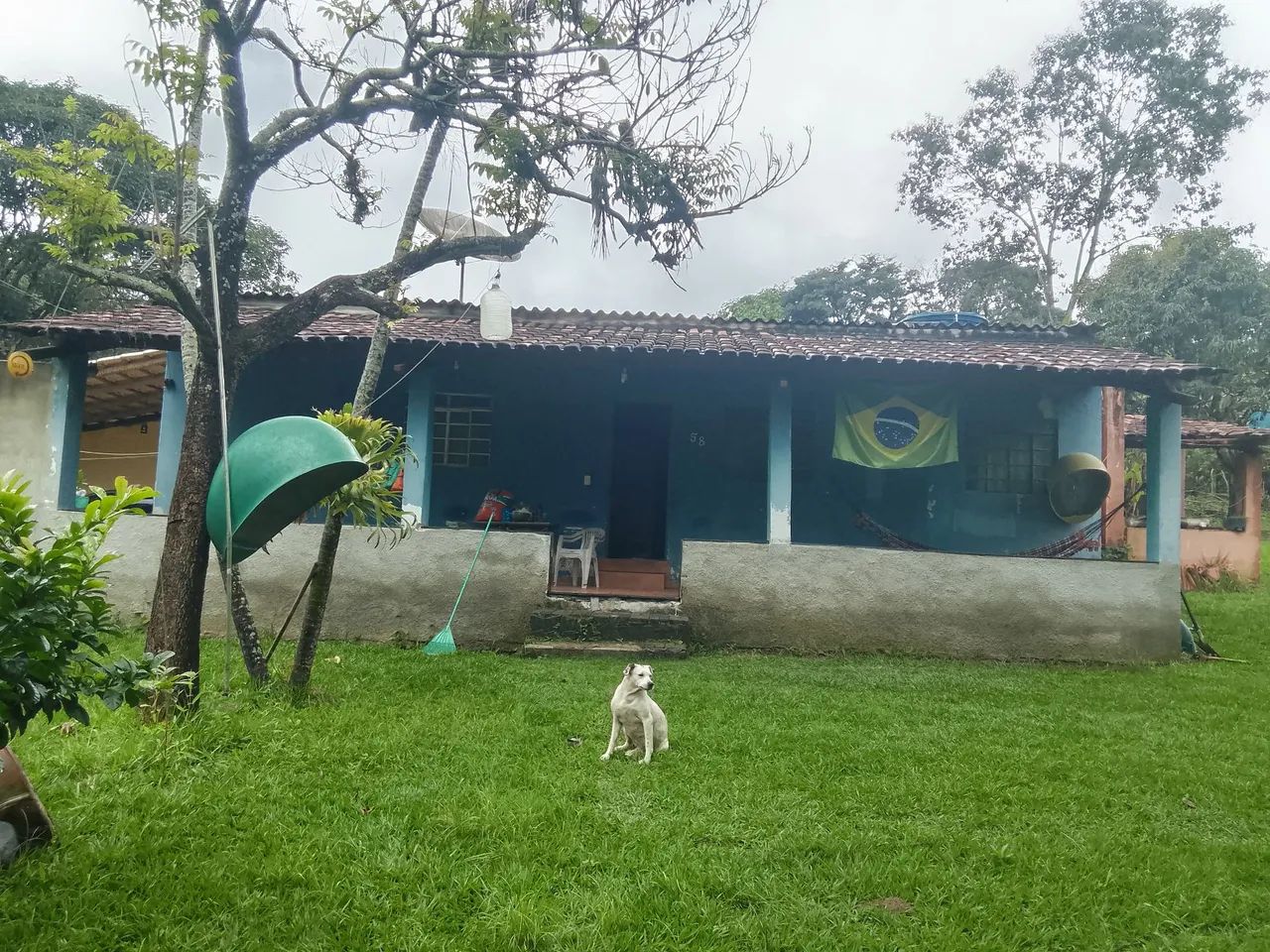 Linda Chacrinha 