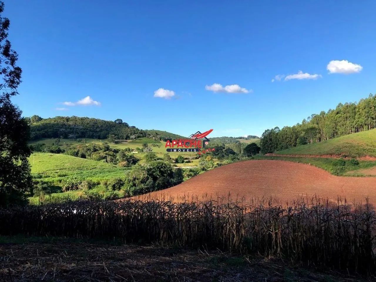 Sítio com casa, no São Venâncio, em Coimbra-MG.