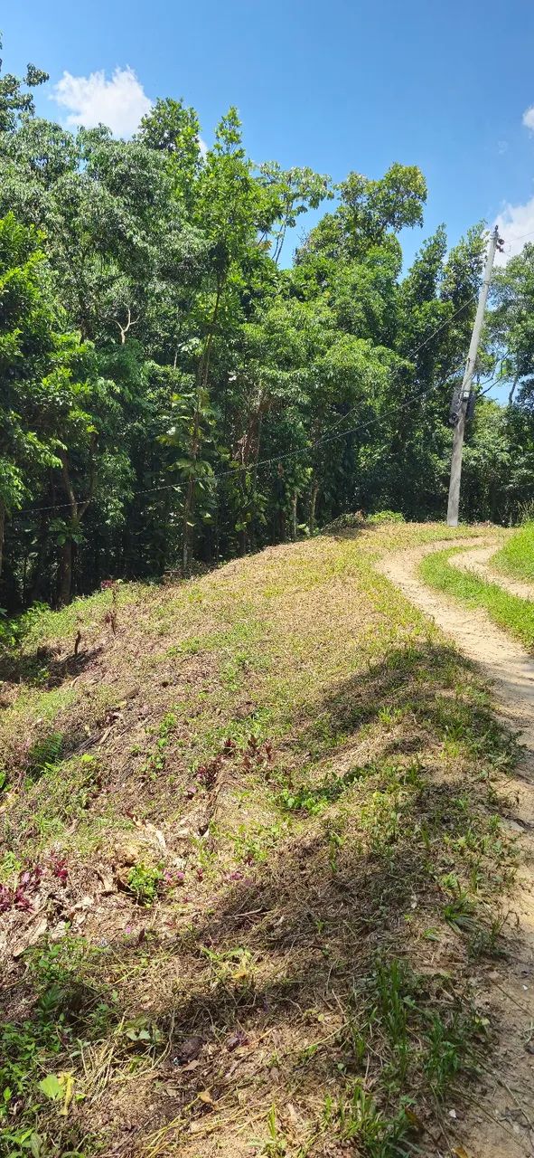 Excelente Sítio à Venda no Rio da Prata de CG! - Foto 2