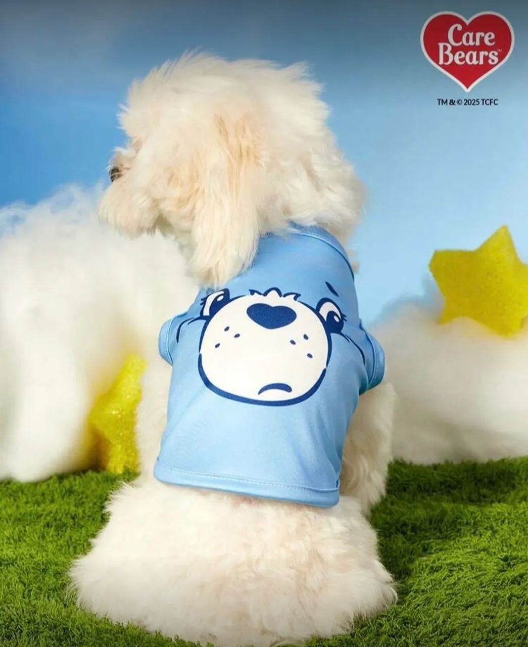 Roupa de Pet Ursinhos Carinhosos