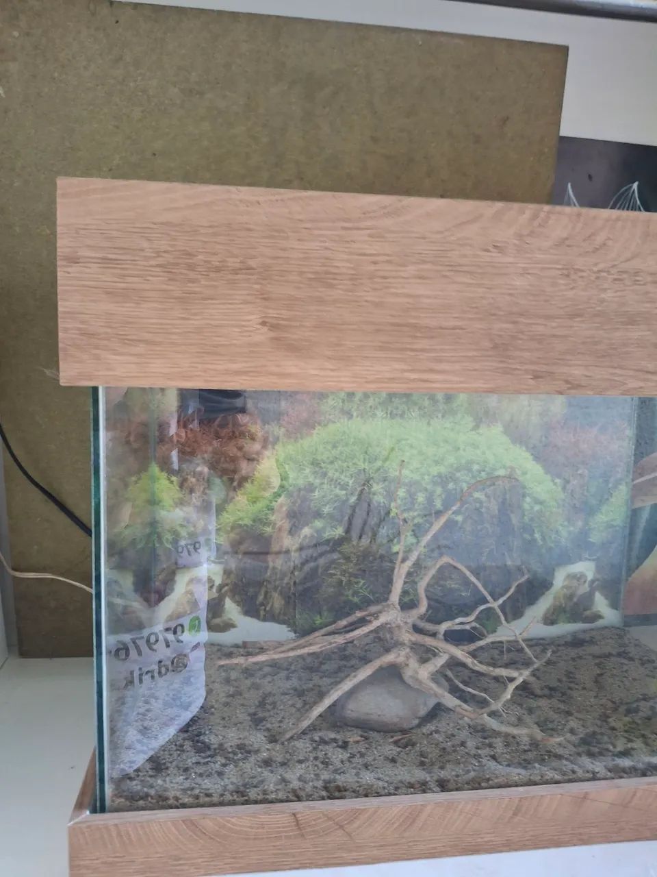 Aquário 50 cm com tampa e base de madeira  - Foto 3