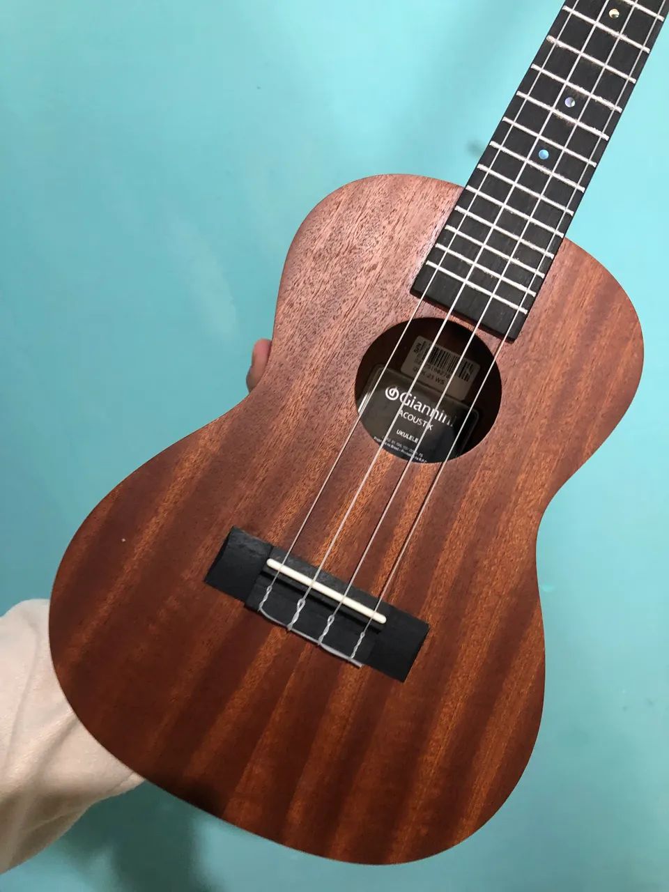 Ukulele Giannini NOVO + Case