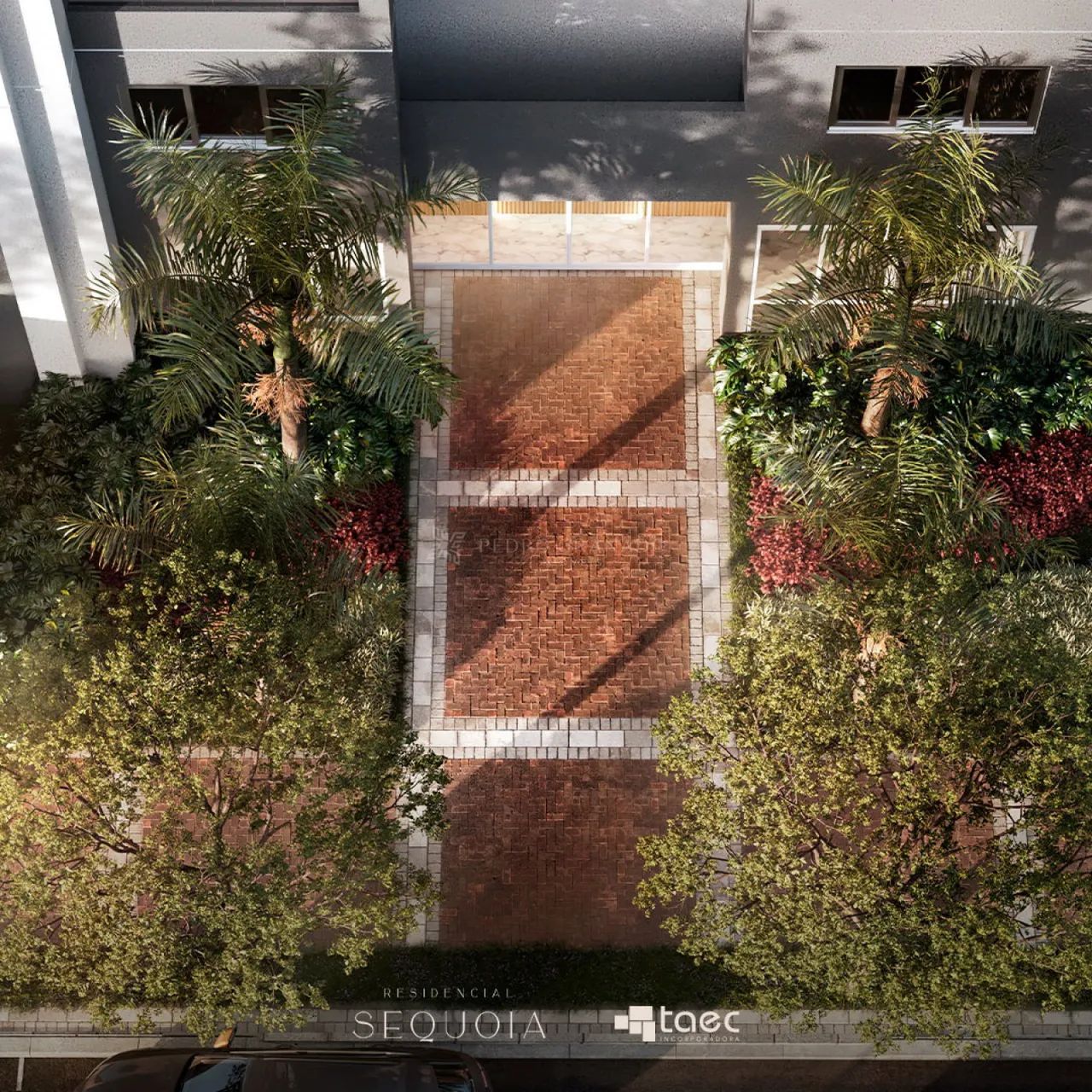 Residencial Sequoia - Foto 4