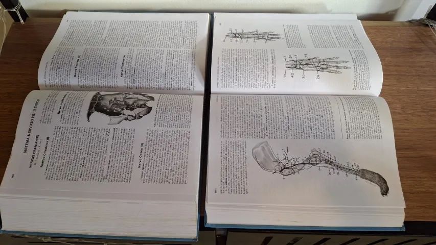 Livros Veterinária Anatomia dos Animais Domésticos - 5ª edição, 2 volumes  - Foto 2