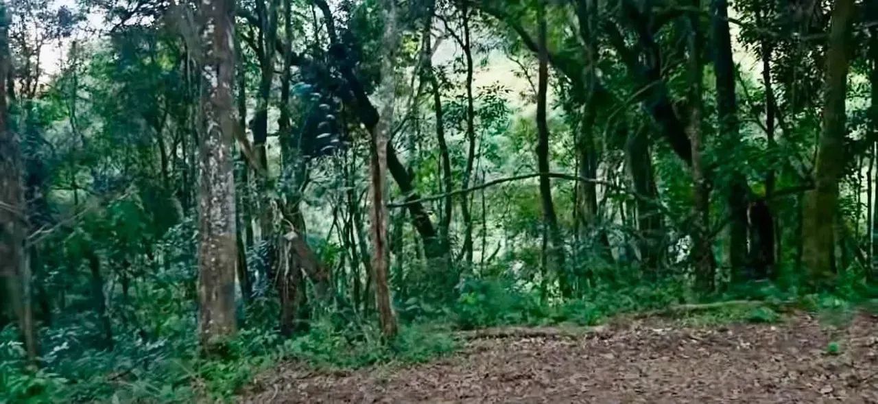 Cachoeira das montanhas - Foto 4