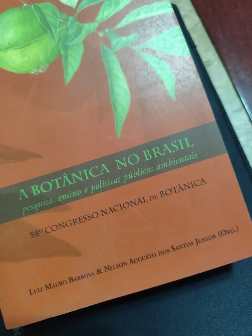 A Botânica No Brasil