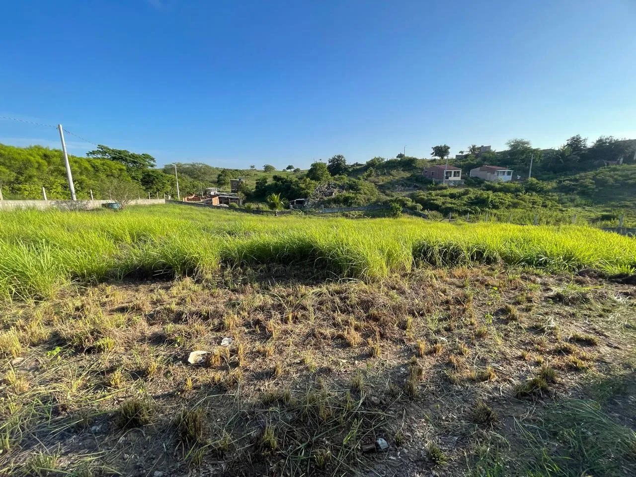 área de chácara dentro da cidade de Limoeiro-PE - Foto 4