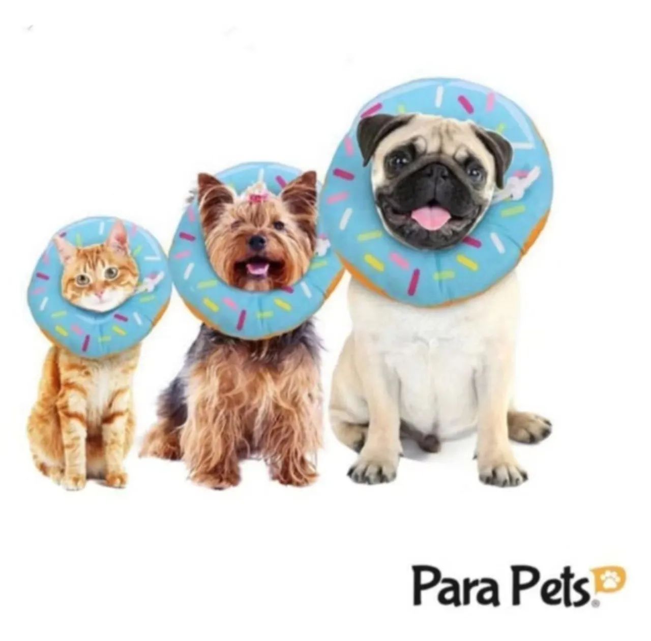 Colar elizabetano 490891405396561924