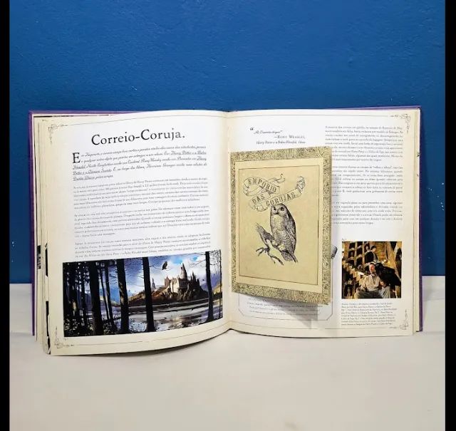 Livro de Harry Potter - Foto 2