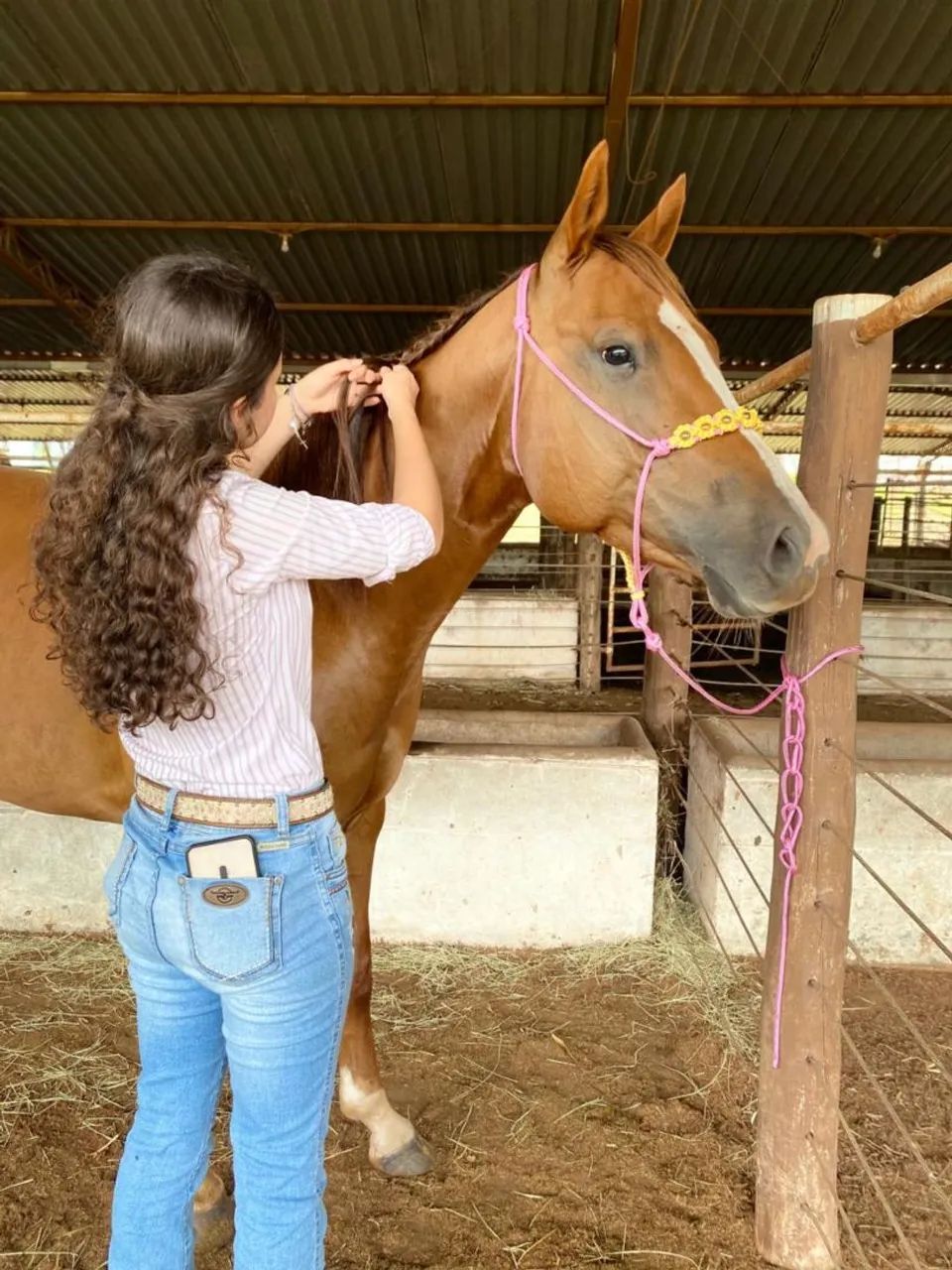 CABRESTOS ARTESANAIS PARA CAVALOS E POTROS - GP Traias - Foto 3