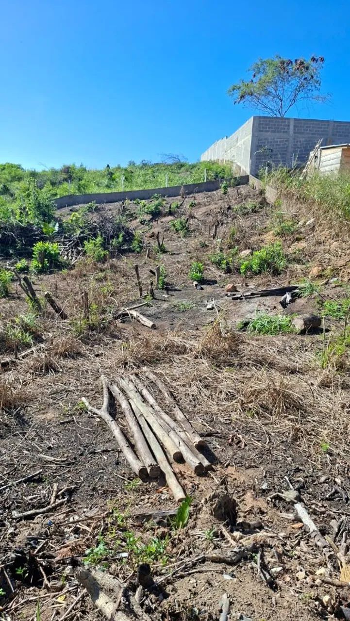 TERRENO PONTA DA FRUTA  - Foto 2