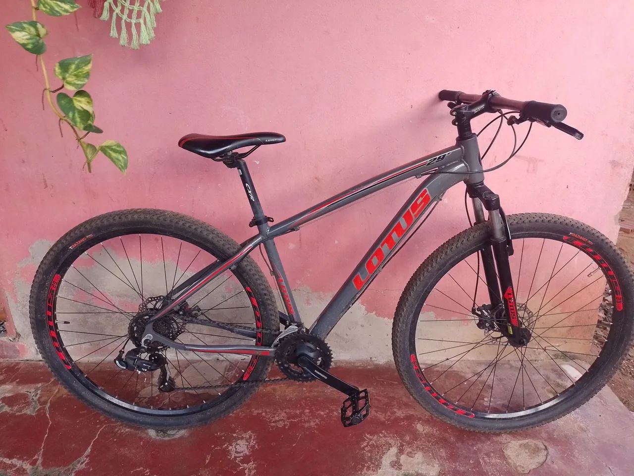 BICICLETA LOTUS ARO 29 