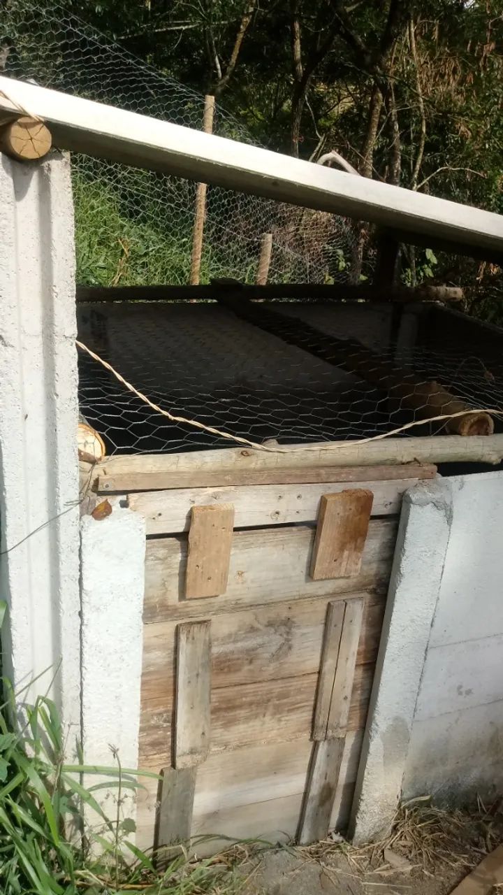 Vendo. Fazendinha em piracema  - Foto 4