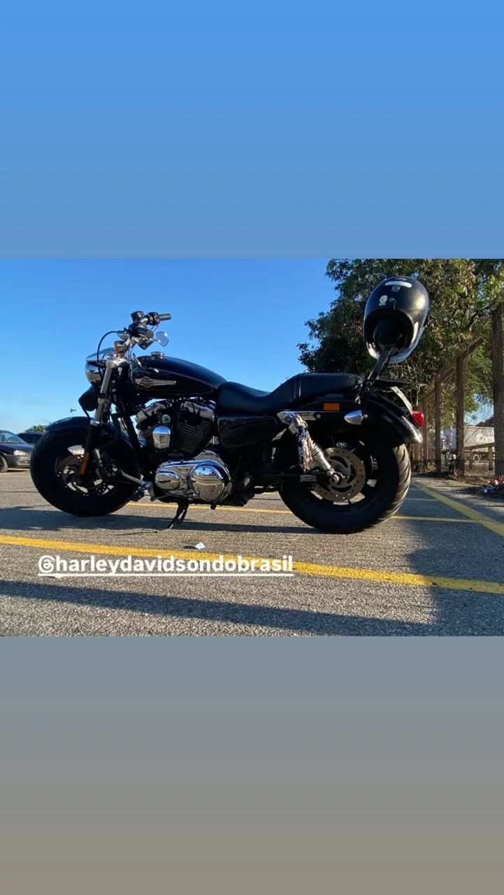 HD XL 1200 custom
